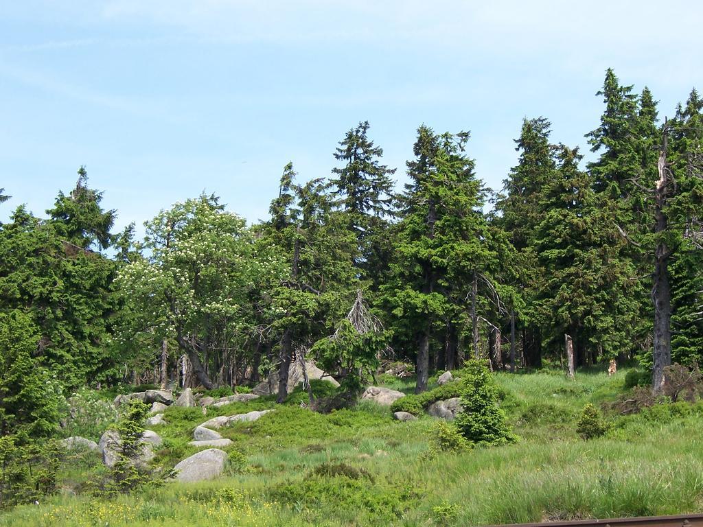 Höllenblick